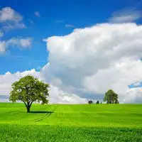 微信头像绿色大全风景微信头像图片大全
