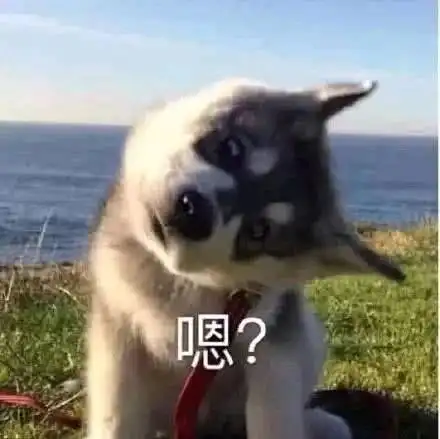 沙雕可爱搞笑表情包
