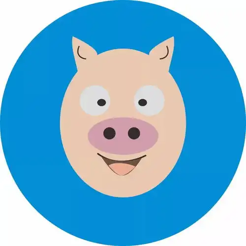 麦玲玲2019猪年十二生肖运程完整版提前开运必睇快d收藏啦...
