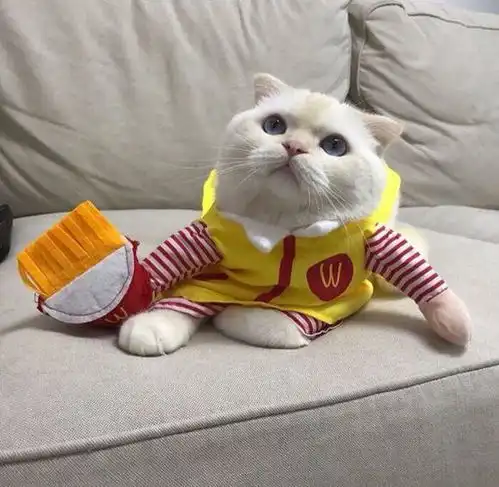 情侣头像阁下的心本姑娘收下了
