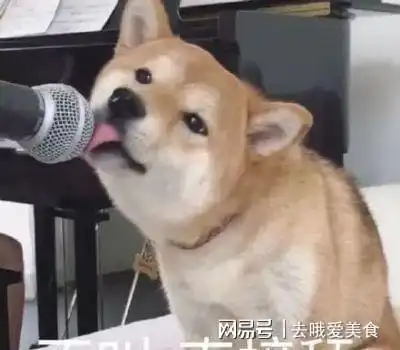 我们大多数人都是生活的舔狗
