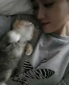 组图陈乔恩遭袭胸甜笑猫咪在怀粉丝艳羡
