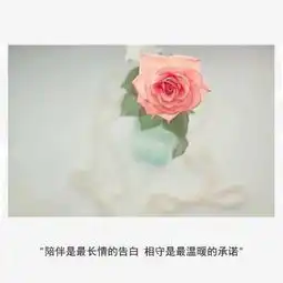 朋友圈句句扎心的个性签名说说,我不信你看完不哭
