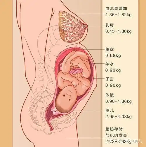产后陈意涵少女感满满,孕期养胎不养肉,就靠着三条底线
