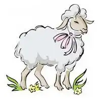 羊图片霸气微信头像图片大全
