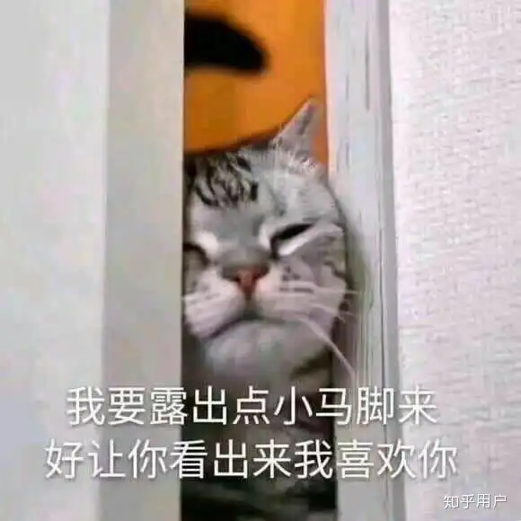 有哪些适用于和女生聊天开场白的表情包
