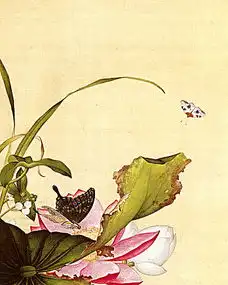 国画工笔画花草郎世宁全景网
