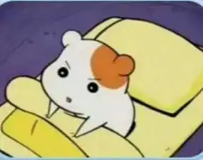 仓鼠管家第几集
