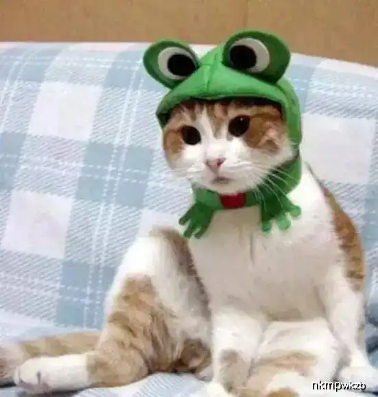 开心一刻去男友家吃饭,刚进门他小侄子就扔给我一个东西
