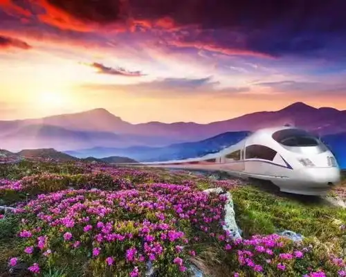 99元人,第九届中国花卉博览会丨宁夏人绝对不可错过
