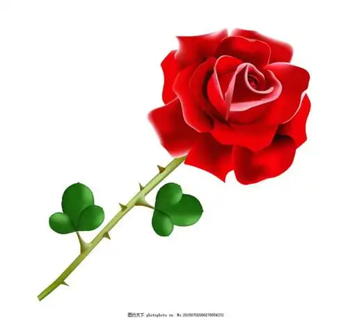 今夜睡不着之摔掉手机的冲动
