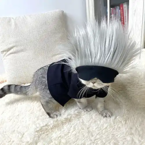 cos五条悟的人太多,猫咪也来插一脚,泰国小哥依然很有创意
