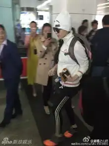 组图范冰冰不改爷范儿牵手李晨自己背大包
