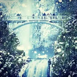 心痛绝望的伤感语录说说,句句戳心,让人痛哭流涕
