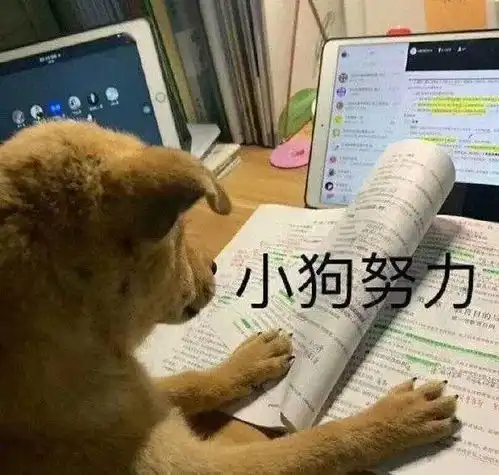 一看就是在好好学习的头像
