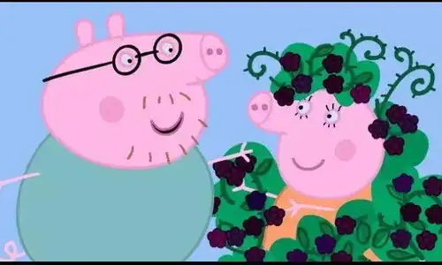 我们喜欢小猪佩奇,到底是喜欢什么

