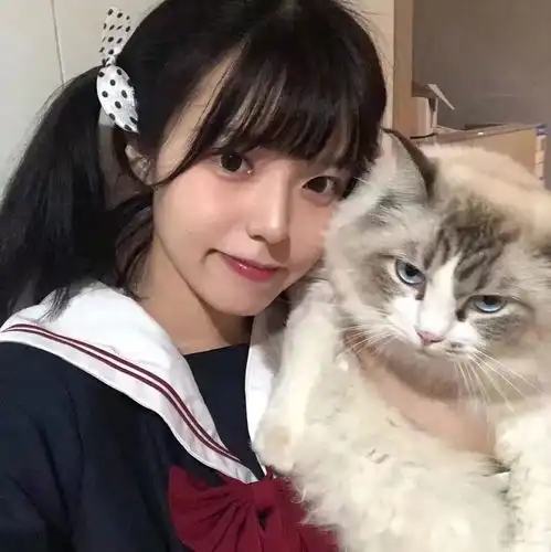 一组猫系女生头像,请签收
