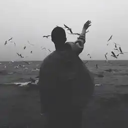 失心穆秋陈林高音质在线试听失心歌词歌曲下载酷狗音乐
