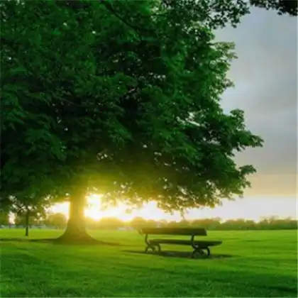 吉利风景头像图片,绝美的风景头像既招财又招运的
