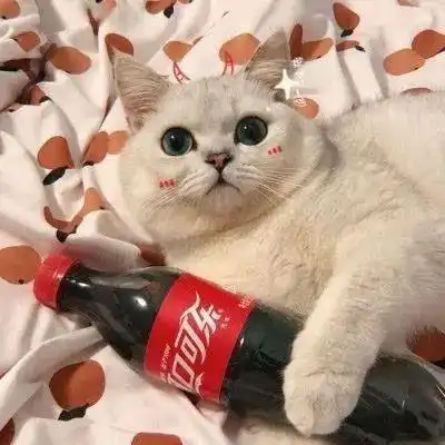 头像图片丨情侣头像,动漫头像,萌娃头像
