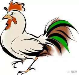 生肖密码生肖鸡的人,运程全攻略
