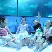 小悟空海洋做课堂今夜你将承包整个海底世界两日营
