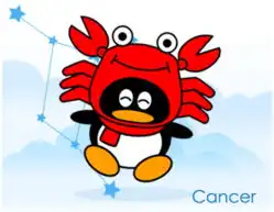 12星座秋装怎么搭配
