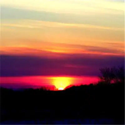 相关02488com网页版手机app介绍公告hd9.64
