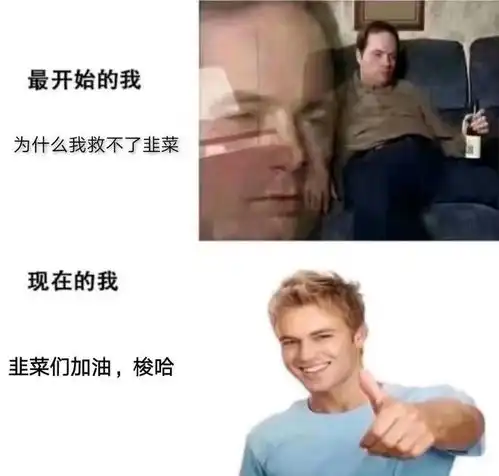 云台山茶旅崩盘启示录
