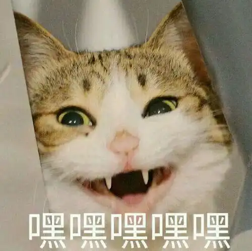 迷宫史上最简单的定向越野,它带着钻石来了
