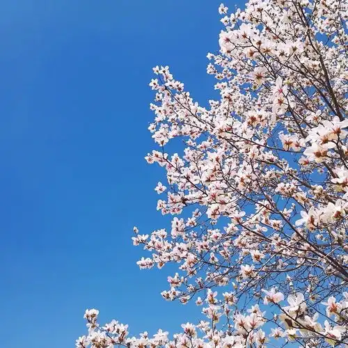 速看经贸之春摄影大赛结果揭晓
