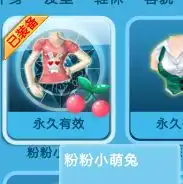 炫舞中好看的女的衣服裤子鞋带图带名
