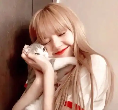 不要分手后与狮子座做朋友
