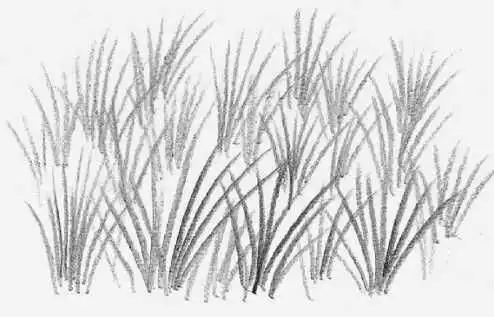 怎么画正五边形步骤线条排列怎么练习分步骤图解教你画,简单易学,收藏起来学习...
