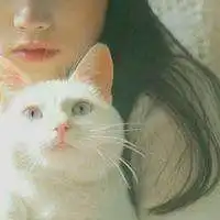 抱猫的女生头像唯美微信头像图片大全
