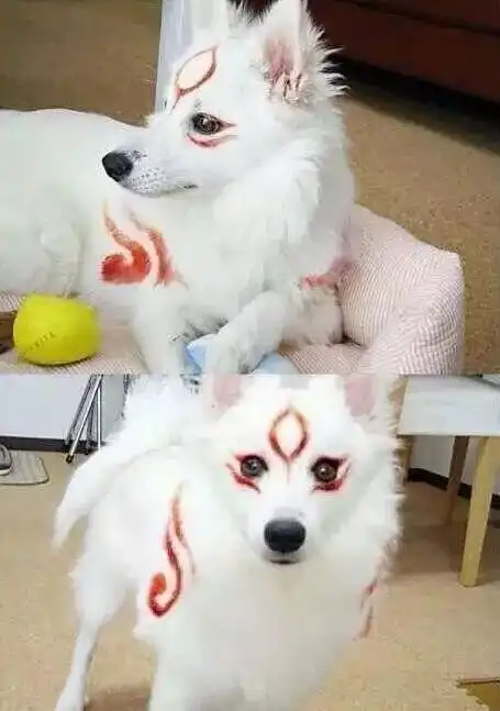 惊悚丁广泉的洋弟子法国女郎竟是那个小偷中央电视台
