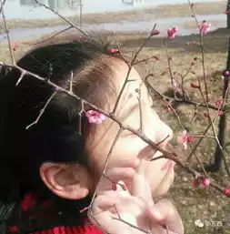 武汉路小学三年级学生石乐的寓言狮子和小女孩
