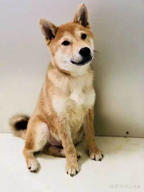 两个人可以diy出什么有意思的东西
