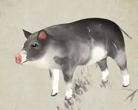 生肖猪五月运势大揭秘,起伏变动大,忌冲动莽撞
