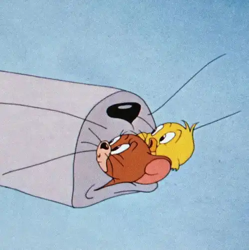 想知道这个是不是猫和老鼠的情头啊
