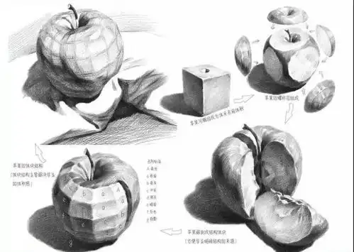 入门素描静物讲解教程分享,美术生初学素描必看
