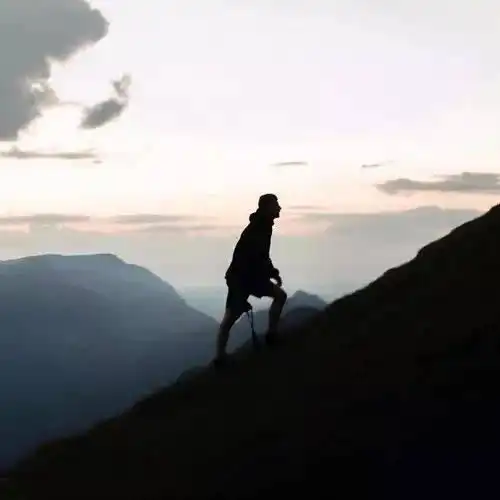 养肾就是养命,肾不好,极易衰老,食疗补肾养生秘方知乎
