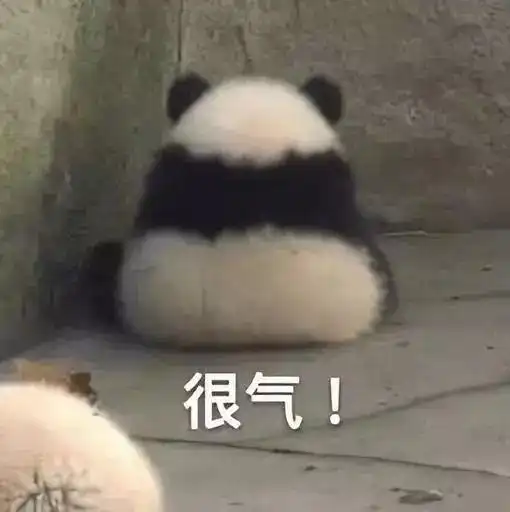 河源13岁男孩因未完成作业离家出走,独自坐火车到惠州
