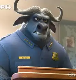 下雨天,千万别像闪电一样飙车哦
