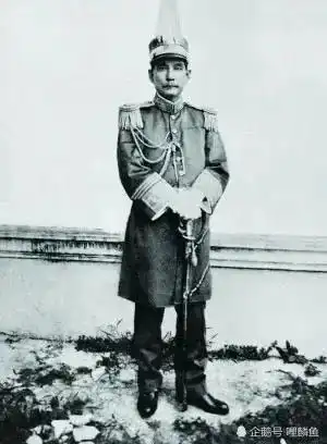 清末民国初期的元帅和将军,军衔及品级也分三六九等
