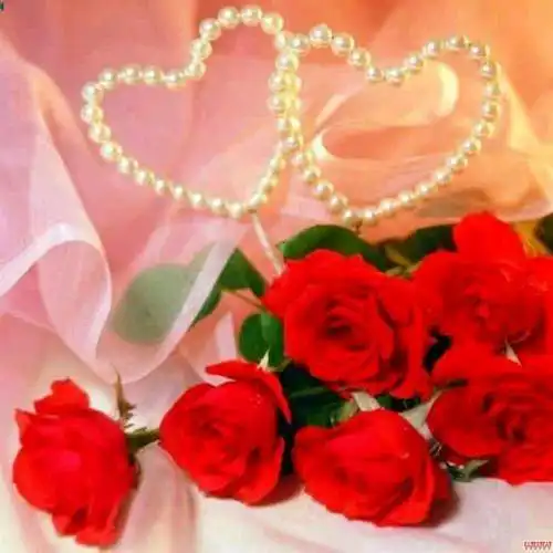 执念是爱吗为什么还有执念呢执念是爱还是不甘心呢
