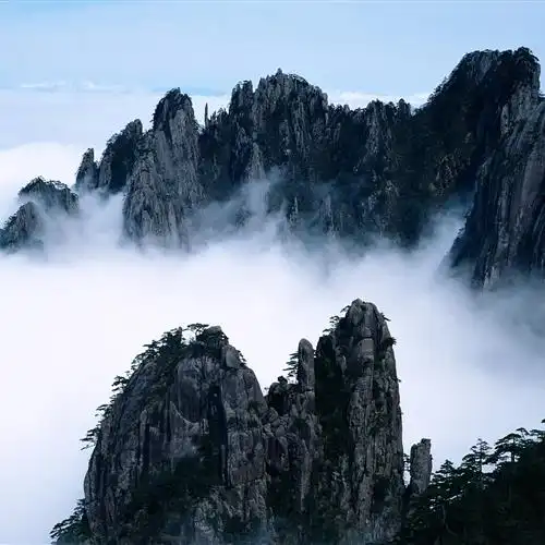 2023唯美自然风景头像
