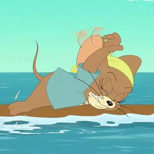 今日表情包精选9.9
