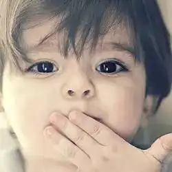 如何养育男孩子写给妈妈们
