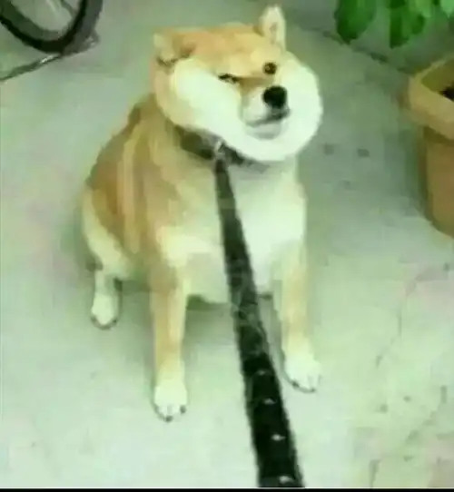 成神之路男神女神修炼秘籍
